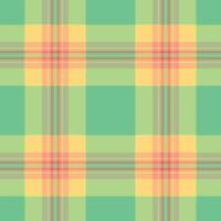 Vibrant pastel plaid pattern. Perfect for textile designs, website backgrounds, or cheerful branding. This seamless texture offers a fresh, springlike feel, symbolizing optimism and renewal. vector
