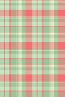 Seamless pastel plaid pattern. Perfect for textile design, fashion, wallpaper, or website backgrounds. The soft, muted colors evoke a sense of calm and spring. vector
