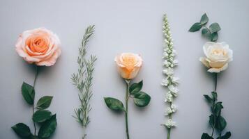 Four roses arranged in a row on a gray background photo