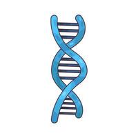 illustration of a human dna helix vector