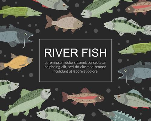 River Fish Banner Template, Seafood Market, Shop, Menu, Packaging Design Flat Illustration