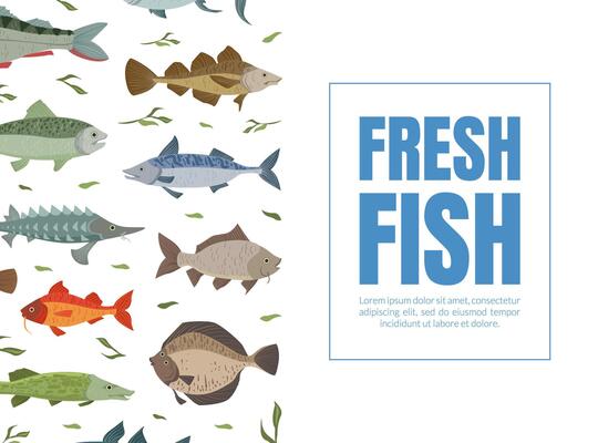 Fresh Fish Banner Template, Seafood Market, Menu, Packaging Design, River and Marine Fishes Seamless Pattern Flat Illustration