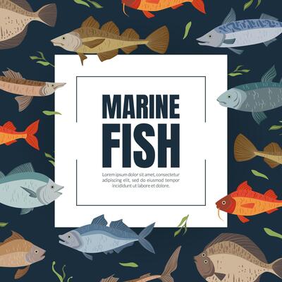 Marine Fish Banner Template, Seafood Market, Shop, Menu, Packaging Design Flat Illustration