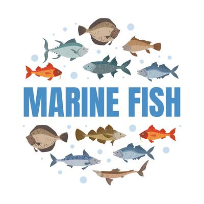 Marine Fish Banner Template with Fishes Pattern of Round Shape, Seafood Market, Shop, Menu, Packaging Design Flat Illustration