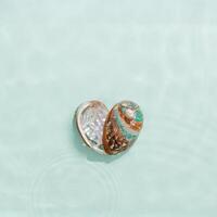 Vibrant abalone shell with iridescent colors with seawater waves at sunlight, gentle ripples and peaceful, oceanic scene. Shiny seashells heart shaped, concept life, natural beauty photo
