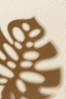 Shadow of monstera palm tree leaf on sand background. Summer minimal concept of harmony photo