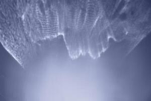 Abstract white sunlight lines on blue background, natural glare from lights, white blue monochrome photo, gradient color, blurred bokeh texture as Glittering aesthetic textured pattern, future dusk photo