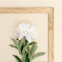 White peony minimal greeting card. Fresh fragrant peony flowers with green leaves and vintage wooden frame on beige photo