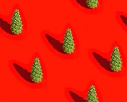 Christmas seamless pattern with natural green pine cone Christmas and New Year Holiday nature background. photo
