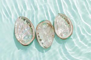 Three abalone seashells floating on clear turquoise water with sun glare and waves. Shells of natural iridescent and rough textures. Minimal style pattern sea and ocean life background, copyspace photo