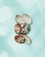 Colored closeup shells as pattern on green blue background with sun flare. Beauty nature texture Seashells, marine life, nautical style, Minimal summer aesthetic, beach lifestyle, pastel color photo