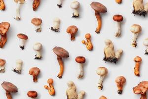 Set of wild forest mushrooms as minimal top view pattern, organic nature still life photo, autumn mood flat lay, nature materials, toadstools, fungus. Beauty environment, natural autumnal tones photo