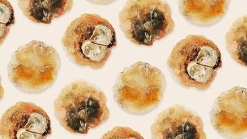 Minimal pattern of Anomia seashell, translucent bivalve, oceanic aesthetic top view beige background, marine life nature design, Summer vibes tranquil nature, beige yellow tones, nautical style photo