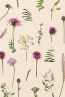 Natural summer composition from wild flowers and grass Meadow, field and forest blooming and green leaves photo
