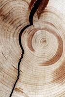 Wood pattern, view of cracked wooden surface with natural tree rings of juniper, grain and line patterns, organic textures in earthy tones. For nature, woodworking, or organic design, vertical photo