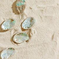 Close-up of colored seashells with shiny pearlescent on textured light beige sand at sunlight, summer and seaside atmosphere, minimal style aesthetic photo, vacation, relaxation, sea relaxation photo