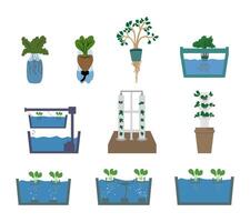 A simple illustration set of hydroponic system plantations, showcasing various setups like NFT, drip systems, and vertical farming, ideal for agricultural, educational, and eco friendly design vector