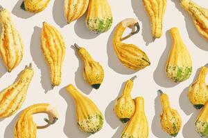 Minimal pattern with Decorative ornamental pumpkins on light beige background, sunlight shadow. Creative still life, autumn fall season holiday Top view yellow green striped Mini squashes photo