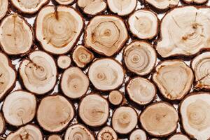 Natural background with Wood tree trunk slices, close up woods with texture annual rings. Top view of cross section of juniper log, nature organic pattern. Sawed timber with tree rings photo