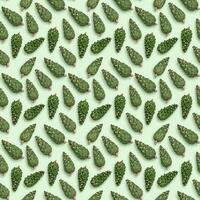 Seamless pattern from natural green pine cones on pastel green paper. Christmas and New Year Holiday nature background photo