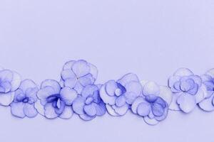 Floral arrangement with small puple Hydrangea flowers, natural floral flat lay in summer seasonal style. photo