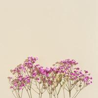 Minimal natural layout made with small pink flowers on beige colored background. Floral visuals with sunlight photo