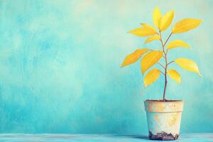 Potted plant with vibrant yellow leaves stands against a textured blue background, showcasing a refreshing indoor decor element and adding a touch of nature to the environment photo