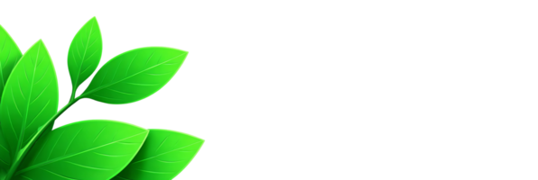 Fresh Green Leaves with Vibrant Color for Nature Background or Design png