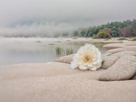 Calm Nature Scene with Jasmine Flowers photo