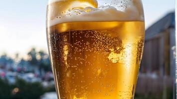 Summer Vibes with a Cold Glass of Beer photo