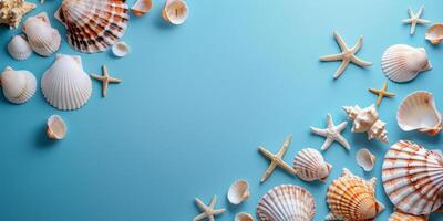 A variety of seashells on a blue background photo