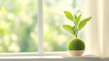 Kokedama moss ball thrives on windowsill amid neutral decor, showcasing a relaxing indoor gardening project photo