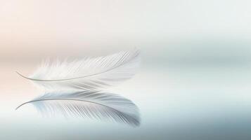 A delicate feather glides over a mirrored surface, reflecting an enchanting alternate reality below photo