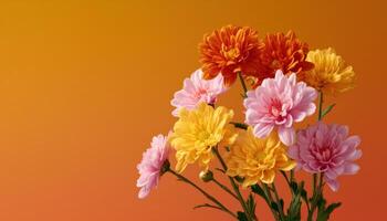 Freshly picked wildflowers collection vibrant burst of color nature photography studio background floral arrangement photo