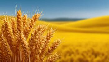 Harvesting ripe grains and vegetables in lush farmland landscape open fields vibrant setting photo