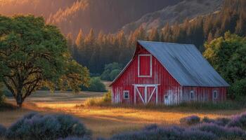 Sunset view of an old red barn with peeling paint surrounded by vibrant nature photo