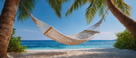 Relaxing hammock between palm trees on sandy beach tropical paradise serene view photo