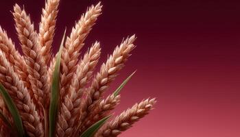 Sunlit grains displaying nature's beauty simple landscape close-up view agricultural concept photo