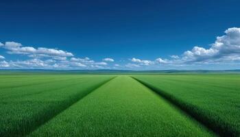 Symmetrical nature landscape lush green field abstract viewpoint vibrant environment photo