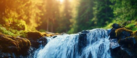 Cascading waterfall in lush forest nature photography scenic landscape tranquil environment photo