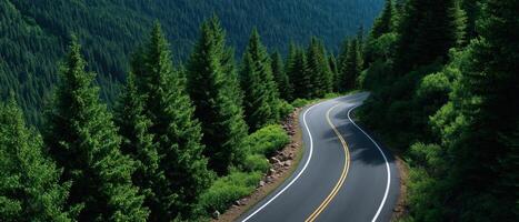 Scenic earthtoned road curves through lush forest nature landscape aerial view photo