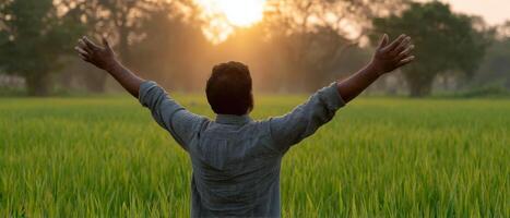 Indian farmer celebrating in lush rice field during sunrise nature vibrant environment photo
