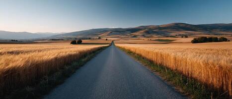 Tranquil journey through wheat fields on a quiet rural road scenic landscape serene environment photo