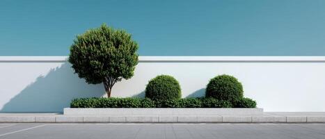 Minimalist garden design with trimmed bushes and white wall outdoor serenity modern aesthetics photo