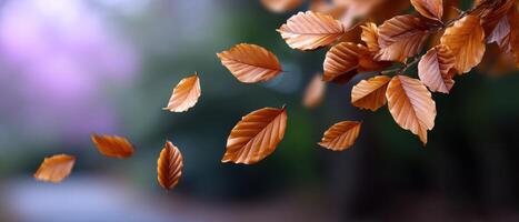 Gentle leaves blowing in the wind quiet afternoon nature scene peaceful environment photo