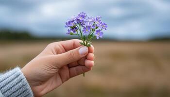 Hand holding wildflower in open field natural environment bright and free viewpoint photo