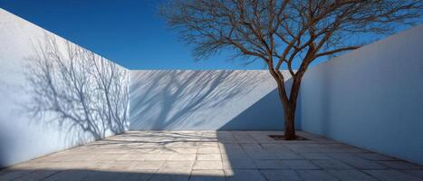 Dancing tree shadows on white walls in outdoor space minimalist environment artistic viewpoint photo