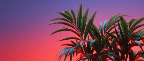 Tropical plant silhouette against neon red and purple background digital art vibrant environment photo