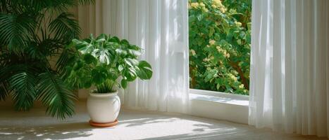 Gentle breeze moving white curtains with green potted plants in a bright room photo