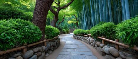 Tranquil morning walk path through lush bamboo forest nature trail peaceful environment photo